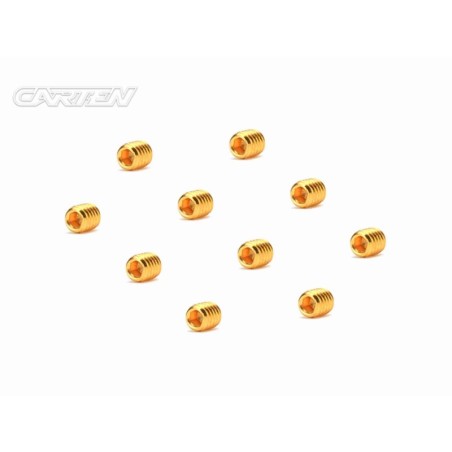GSS0405 - CARTEN Set Screw 12.9- SS M4x5(Gold Coating) (10)