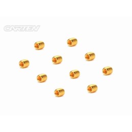GSS0405 - CARTEN Set Screw 12.9- SS M4x5(Gold Coating) (10)
