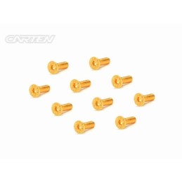 GFH0310 - CARTEN Screw Set  12.9- FH M3x10(Gold Coating) (10)