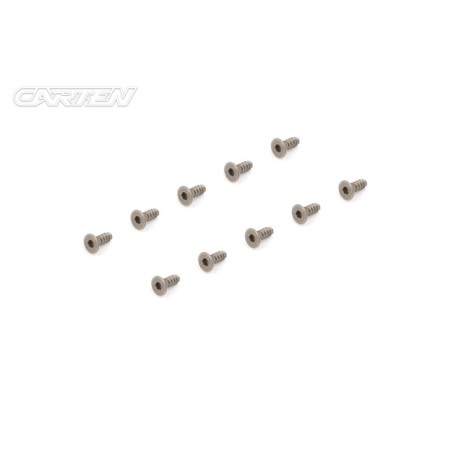 TPFH306 - CARTEN Titanium Gr-2 Self Tapping Screw Set FH 3x6mm (10)
