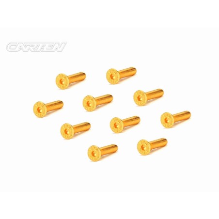 GFH0316 - CARTEN Screw Set  12.9- FH M3x16(Gold Coating) (10)