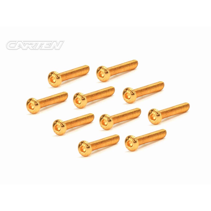 GBH0325 - CARTEN Screw Set 12.9- BH M3x25(Gold Coating) (10)
