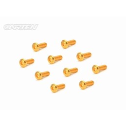 GBH0310 - CARTEN Screw Set 12.9- BH M3x10(Gold Coating) (10)