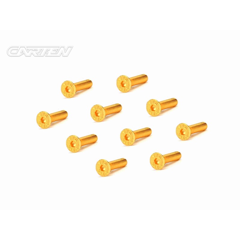 GFH0314 - CARTEN Screw Set  12.9- FH M3x14(Gold Coating) (10)