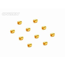GSS0304 - CARTEN Set Screw 12.9- SS M3x4(Gold Coating) (10)