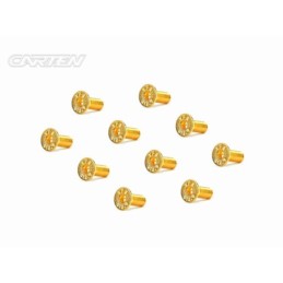 GFH0410 - CARTEN Screw Set  12.9- FH M4x10(Gold Coating) (10)