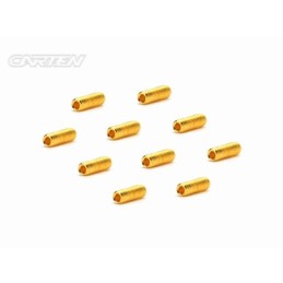 GSS0308 - CARTEN Set Screw 12.9- SS M3x8(Gold Coating) (10)