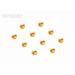 GSS0404 - CARTEN Set Screw 12.9- SS M4x4(Gold Coating) (10)