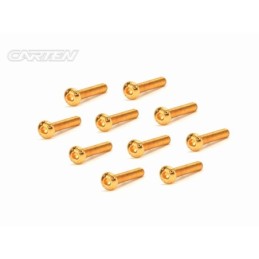 GBH0318 - CARTEN Screw Set 12.9- BH M3x18(Gold Coating) (10)
