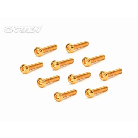 GBH0318 - CARTEN Screw Set 12.9- BH M3x18(Gold Coating) (10)