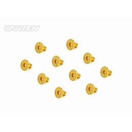 GFH0406 - CARTEN Screw Set  12.9- FH M4x6(Gold Coating) (10)
