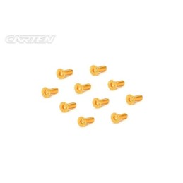GFH2508 - CARTEN Screw Set  12.9- FH M2,5x8(Gold Coating) (10)
