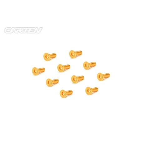 GFH2508 - CARTEN Screw Set  12.9- FH M2,5x8(Gold Coating) (10)