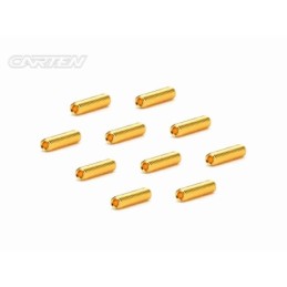 GSS0312 - CARTEN Set Screw 12.9- SS M3x12(Gold Coating) (10)