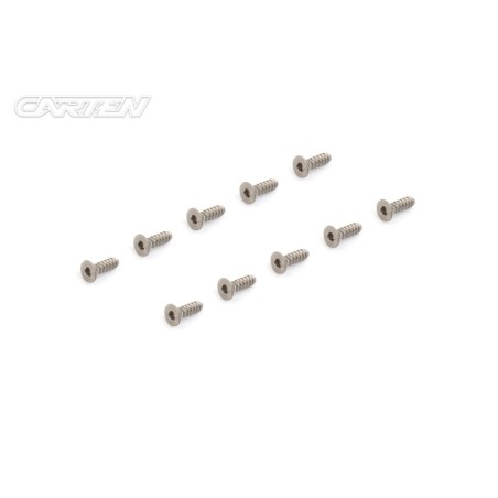 TPFH308 - CARTEN Titanium Gr-2 Self Tapping Screw Set FH 3x8mm (10)