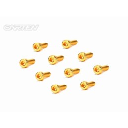 GCH0310 - CARTEN Screw Set  12.9- CH M3x10(Gold Coating) (10)