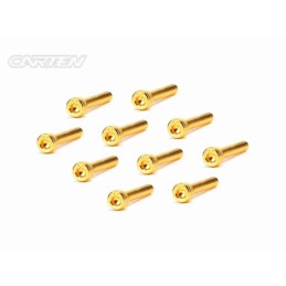 GCH0320 - CARTEN Screw Set  12.9- CH M3x20(Gold Coating) (10)