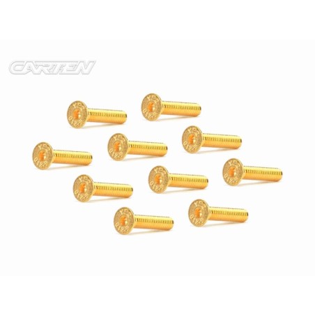 GFH0420 - CARTEN Screw Set  12.9- FH M4x20(Gold Coating) (10)
