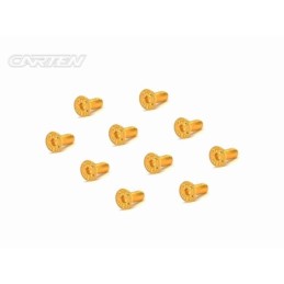 GFH0308 - CARTEN Screw Set  12.9- FH M3x8(Gold Coating) (10)