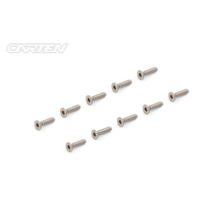 TPFH312 - CARTEN Titanium Gr-2 Self Tapping Screw Set FH 3x12mm (10)