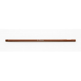 AE1513 - FT 2.5 mm Hex Replacement Tip