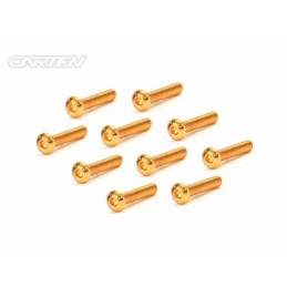 GBH0320 - CARTEN Screw Set 12.9- BH M3x20(Gold Coating) (10)