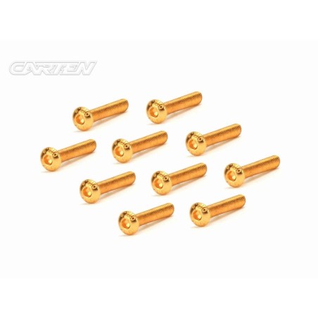 GBH0320 - CARTEN Screw Set 12.9- BH M3x20(Gold Coating) (10)