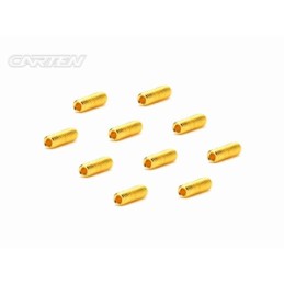 GSS0310 - CARTEN Set Screw 12.9- SS M3x10(Gold Coating) (10)