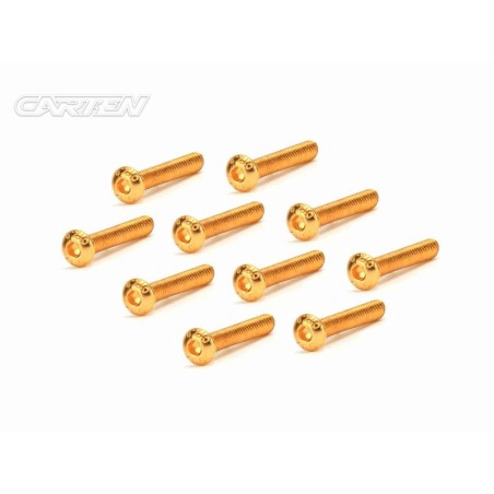 GBH0322 - CARTEN Screw Set 12.9- BH M3x22(Gold Coating) (10)