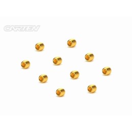 GSS0303 - CARTEN Set Screw   12.9- SS M3x3(Gold Coating) (10)