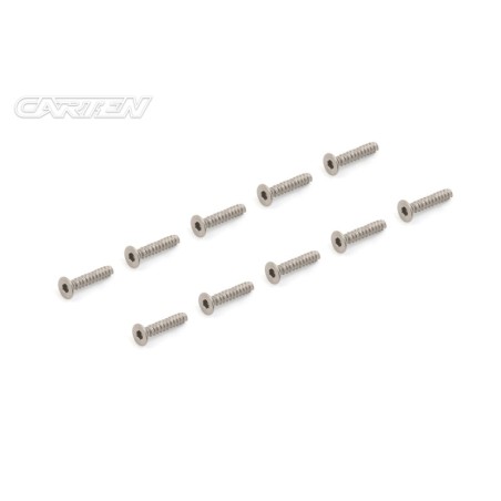 TPFH315 - CARTEN Titanium Gr-2 Self Tapping Screw Set FH 3x15mm (10)