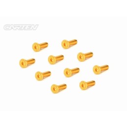 GFH0312 - CARTEN Screw Set  12.9- FH M3x12(Gold Coating) (10)