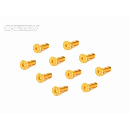 GFH0312 - CARTEN Screw Set  12.9- FH M3x12(Gold Coating) (10)